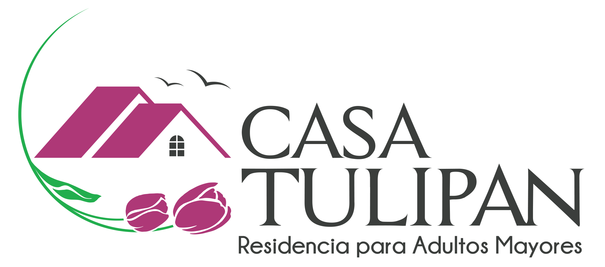 Casa Tulipan